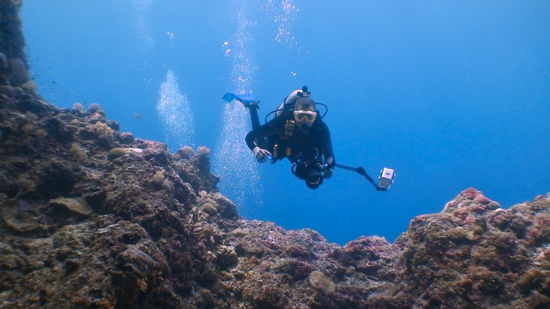 Diving in Palau - DSC04330