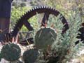 DSCN0135_3